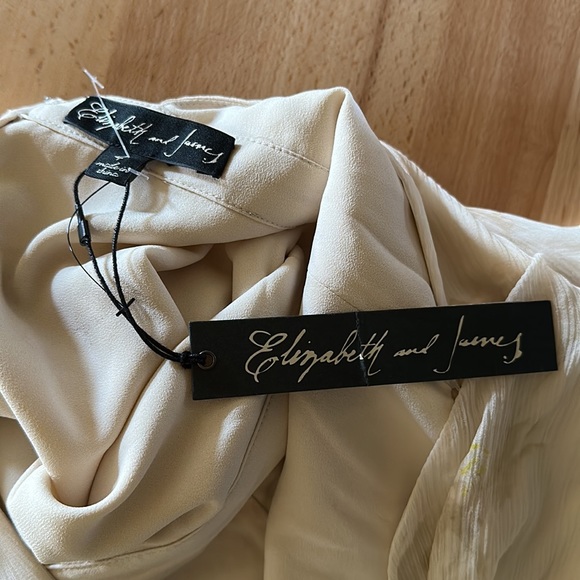 Nwt ELIZABETH AND JAMES Sandy Silk Dress - Picture 9 of 12
